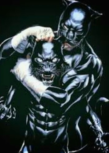 Wildcat