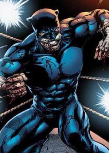 Wildcat