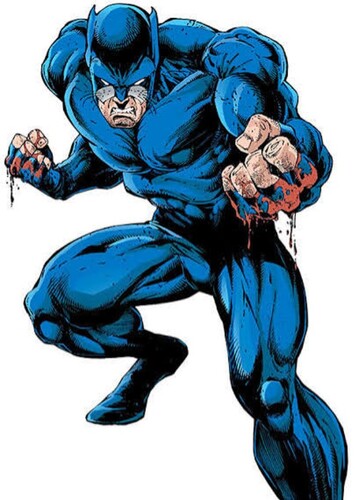Wildcat