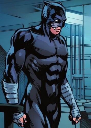 Wildcat