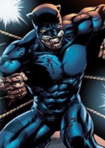 Wildcat
