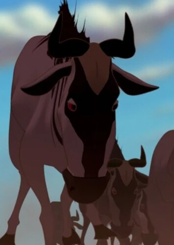 Wildebeests