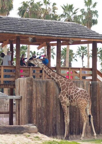 Wildlife World Zoo, Aquarium & Safari Park