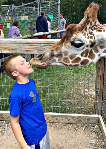 Wildwood Wildlife Park