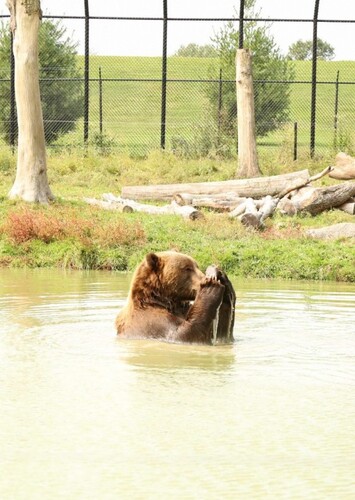 Wildwood Zoo