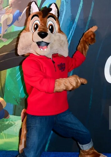 Wiley The Wolf