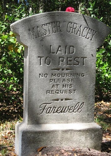 William Gracey