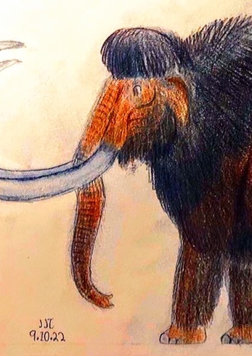 William Marven The Woolly Mammoth