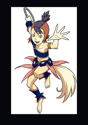 Wilykit