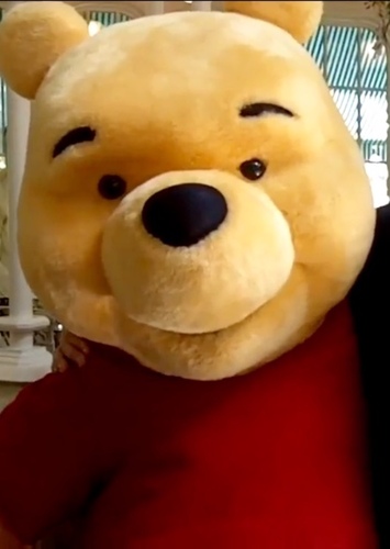 Winnie the Pooh
