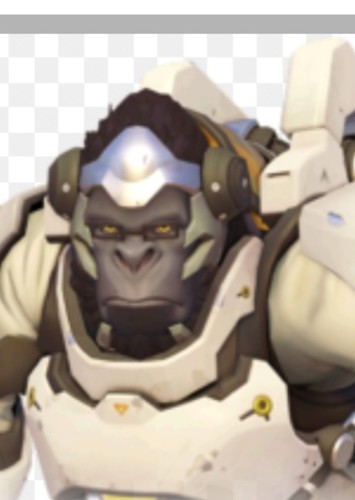 Winston