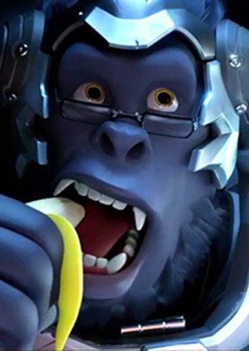 Winston