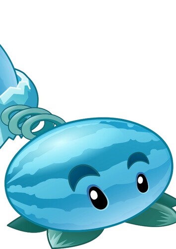 Winter Melon