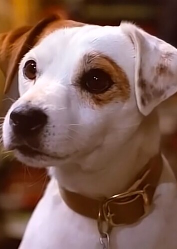 Wishbone