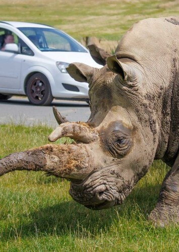 Woburn Safari Park