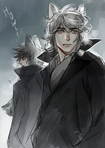 Wolf