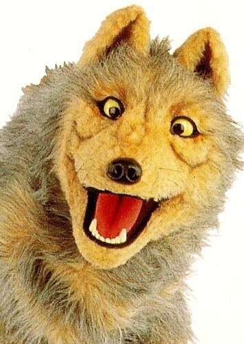 Wolf