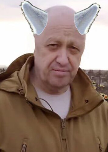 Wolfeni Piwolfin