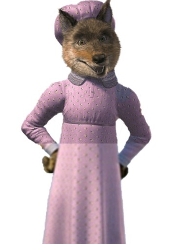 Wolfie Big Bad Wolf
