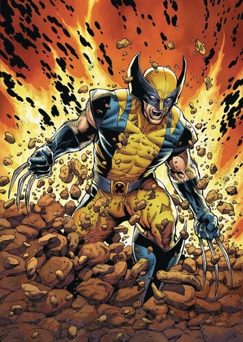 Wolverine