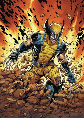 Wolverine