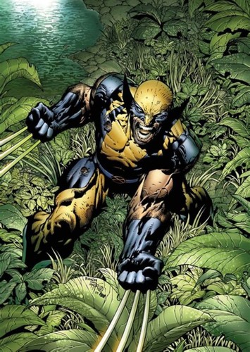 Wolverine