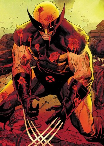 Wolverine