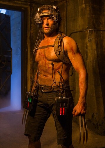 Wolverine