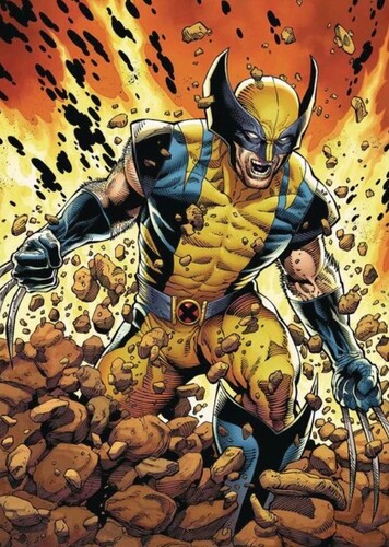 Wolverine
