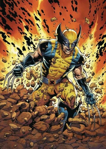 Wolverine (5th Variant)