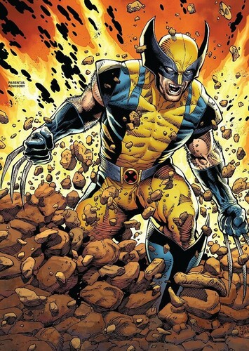 Wolverine
