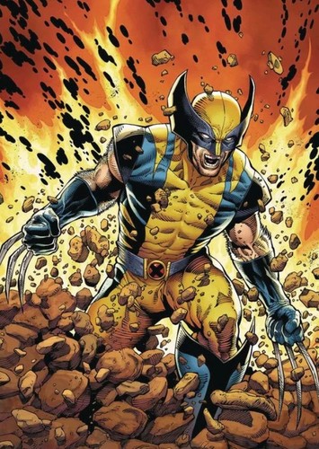 Wolverine