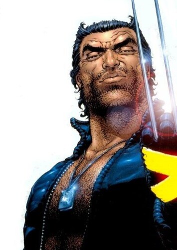 Wolverine