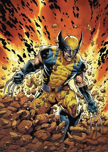 Wolverine
