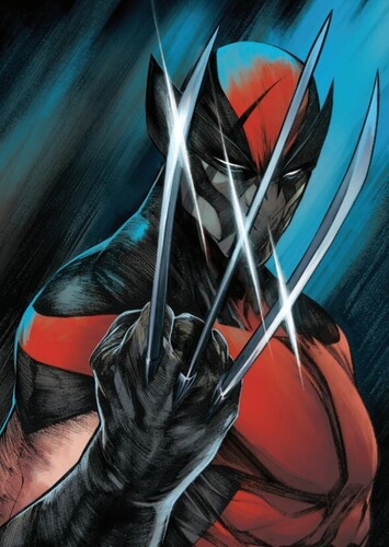 Wolverine/Winter Soldier