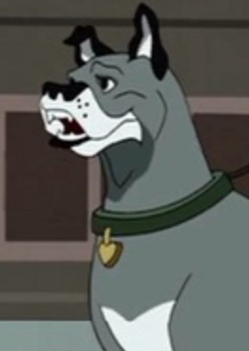 Wonder Dog