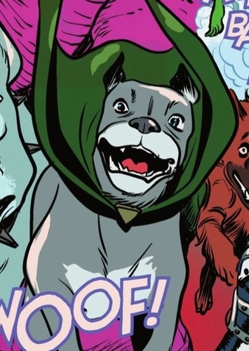 Wonder Dog