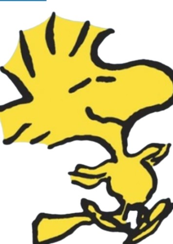 Woodstock