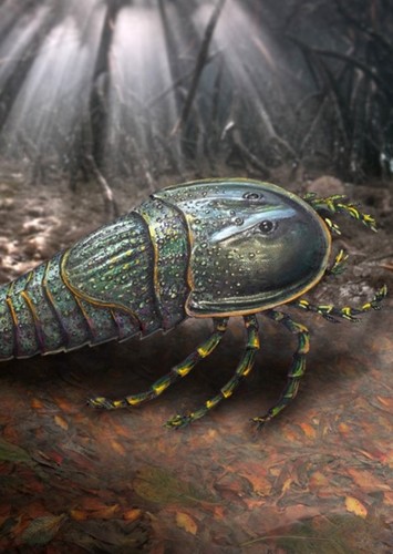 Woodwardopterus