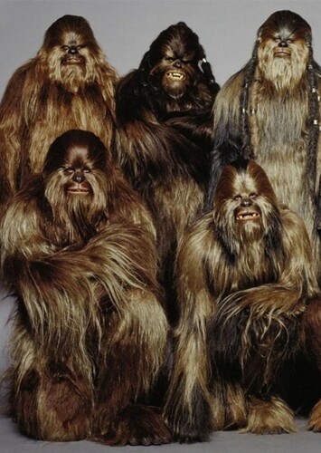Wookie Warriors