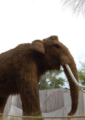 Woolly Mammoth