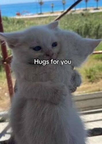 Would gladly hug