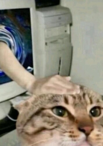 Would gladly pet