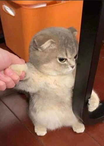 Wouldn't want to be hugged