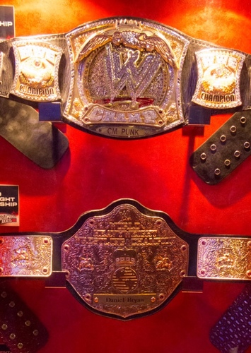 WWE/World Heavyweight Championship