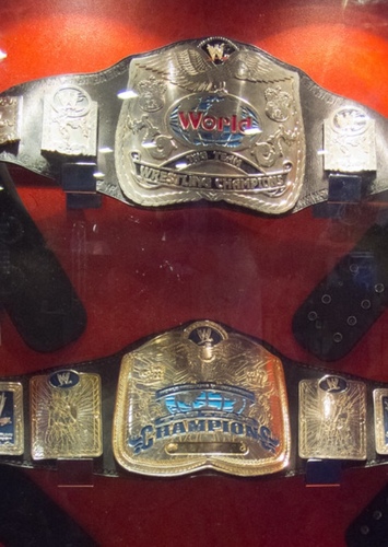 WWE/World Tag Team Championship