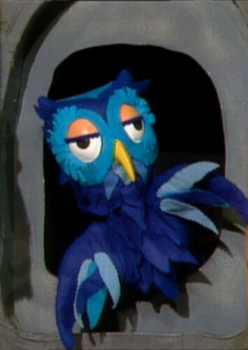 X the Owl