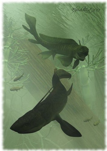 Xenacanthus