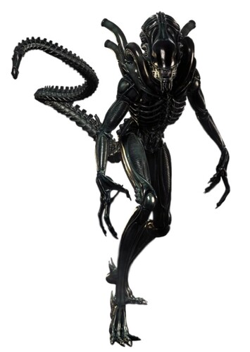 Xenomorph