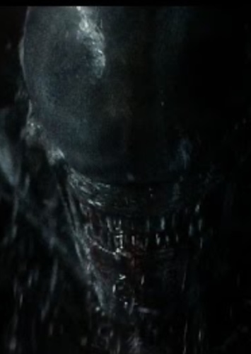Xenomorph Alien